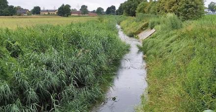 Bezpieczny stan wód w Pyskowicach – brak zagrożeń