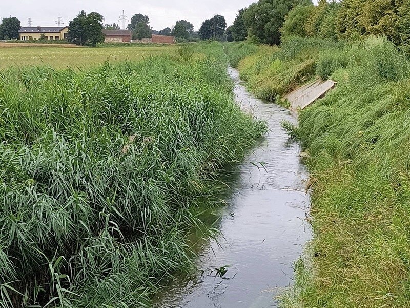 Bezpieczny stan wód w Pyskowicach – brak zagrożeń