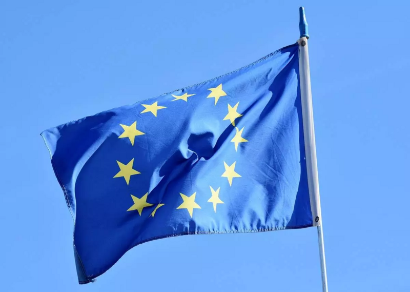 Jak mieszkańcy Pyskowic głosowali w wyborach do Europarlamentu 2024?