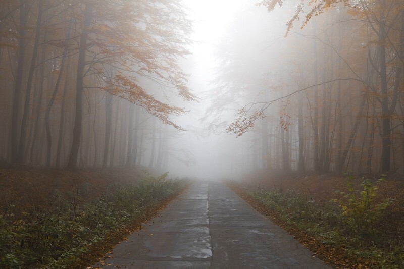 Jesień nie sprzyja bezpieczeństwu pieszych. Bądźmy ostrożni na drogach!