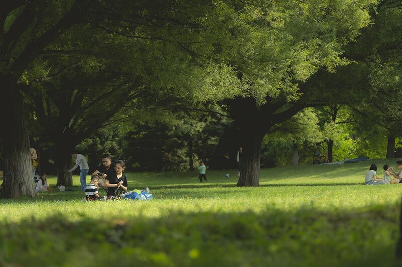 Piknik w ramach Metropolitalnego Święta Rodziny
