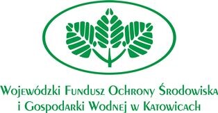 Program ograniczenia niskiej emisji