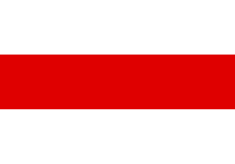 Ratusz w kolorach biało-czerwono-białym. Pyskowice solidarne z Białorusią